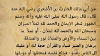 الصورة 0 لـ 