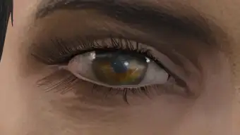 The Eyes Of Beauty Fallout Edition