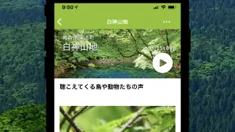 Forest Notes ライブで聴く森の自然音