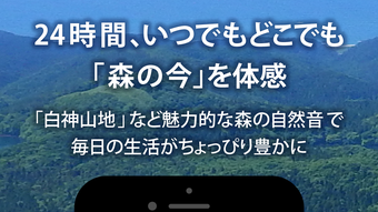 Forest Notes ライブで聴く森の自然音