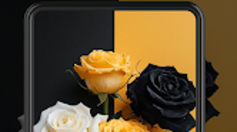 รูปภาพ 0 สำหรับ 