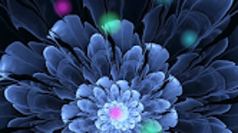 Image 0 for 