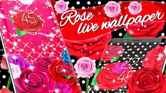 Imagen 0 para 