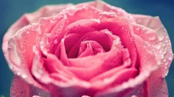 Immagine 0 per 