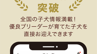 의 이미지 0
