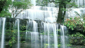 Imagem 0 para 
