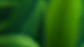 Imagem 0 para 