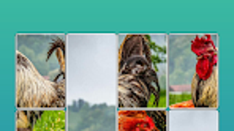 รูปภาพ 0 สำหรับ 