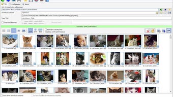 Bulk Image Downloader