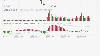 의 이미지 0