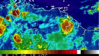 의 이미지 0