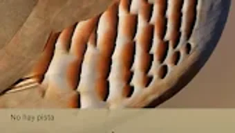 の画像0