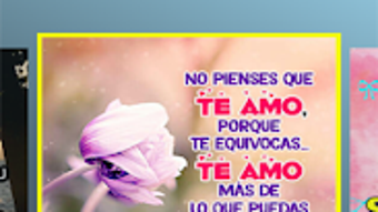 Immagine 0 per 