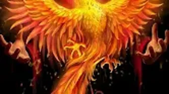 Imagem 0 para 