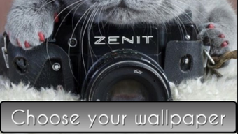 รูปภาพ 0 สำหรับ 