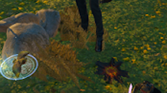 รูปภาพ 0 สำหรับ 