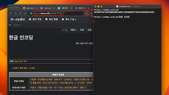 의 이미지 0