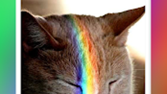  için 0 numaralı resim