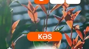的第0张图片