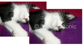รูปภาพ 0 สำหรับ 