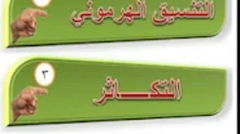 الصورة 0 لـ 