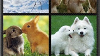 Imagem 0 para 