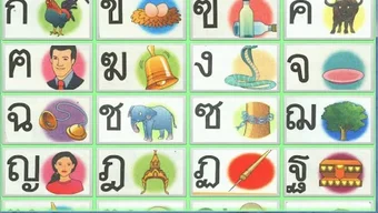 รูปภาพ 0 สำหรับ 
