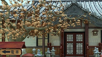 Image 0 for 