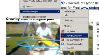 Firefox Video Download Helper