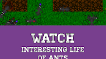  için 0 numaralı resim