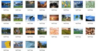 Windows Vista Starter Wallpapers