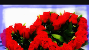 Image 0 for 