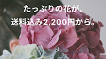 の画像0
