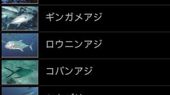 の画像0