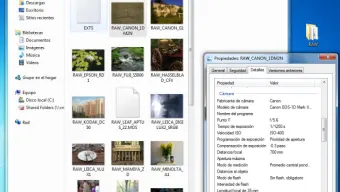 FastPictureViewer Codec Pack