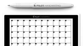 Pilot Handwriting