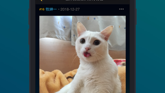 Bild 0 für 