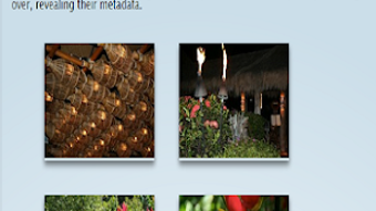 รูปภาพ 0 สำหรับ 