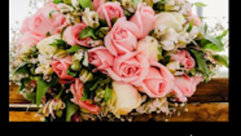 รูปภาพ 0 สำหรับ 