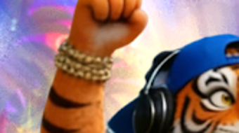 Bild 0 för 