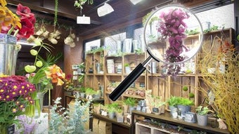 Изображение 0 для 