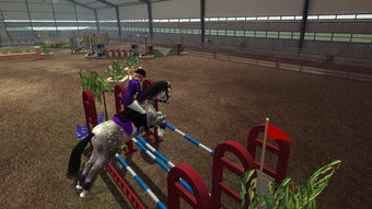 Riding Club Championships