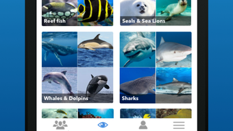 รูปภาพ 0 สำหรับ 