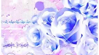 الصورة 0 لـ 