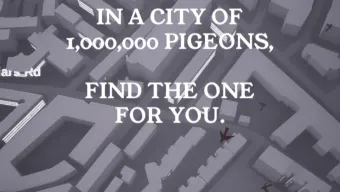 Pigeon: A Love Story