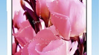 รูปภาพ 0 สำหรับ 