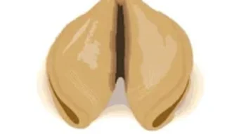 الصورة 0 لـ 