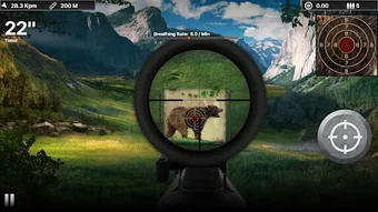 Bear Target Shooting