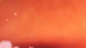 Imagem 0 para 