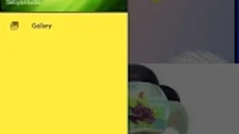 的第0张图片